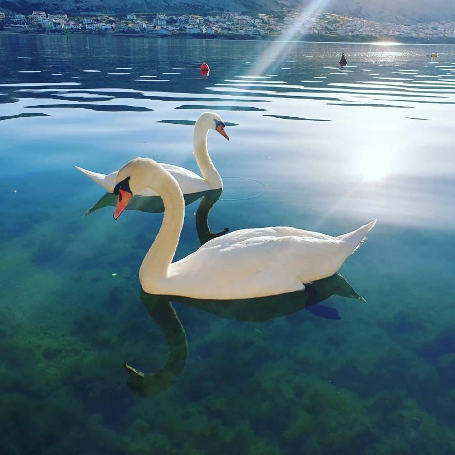 Apartman Vesna Pag Apartman Pag Town Kültér fotó